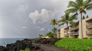 Ein Küstenhotel mit felsiger Küstenlinie, Palmen und Blick aufs Meer.