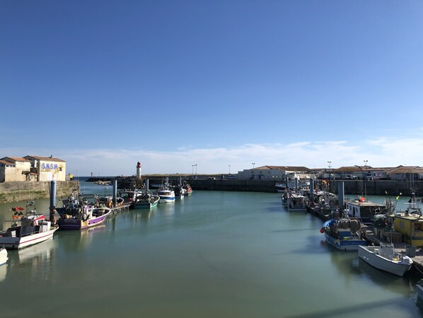 Marina