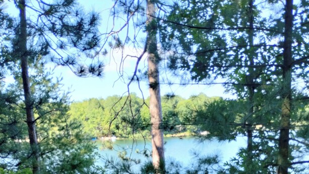 Une terrasse en bois offrant une vue sur un lac entouré d’arbres.