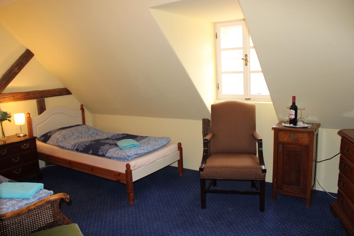 Twin Room | Iron/ironing board (on request), WiFi (free), bed sheets