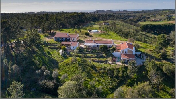 Une propriété rurale comprenant plusieurs maisons, entourée d’une végétation luxuriante et de collines ondulantes.
