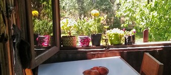 Íntima cabaña en la rivera del río Espera. Arboleda, parque, muelle propio,PAZ.