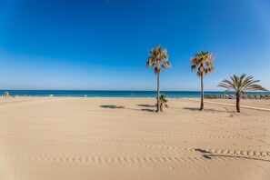 A beach with two palm trees, a clear blue sky, and the ocean in the background.
