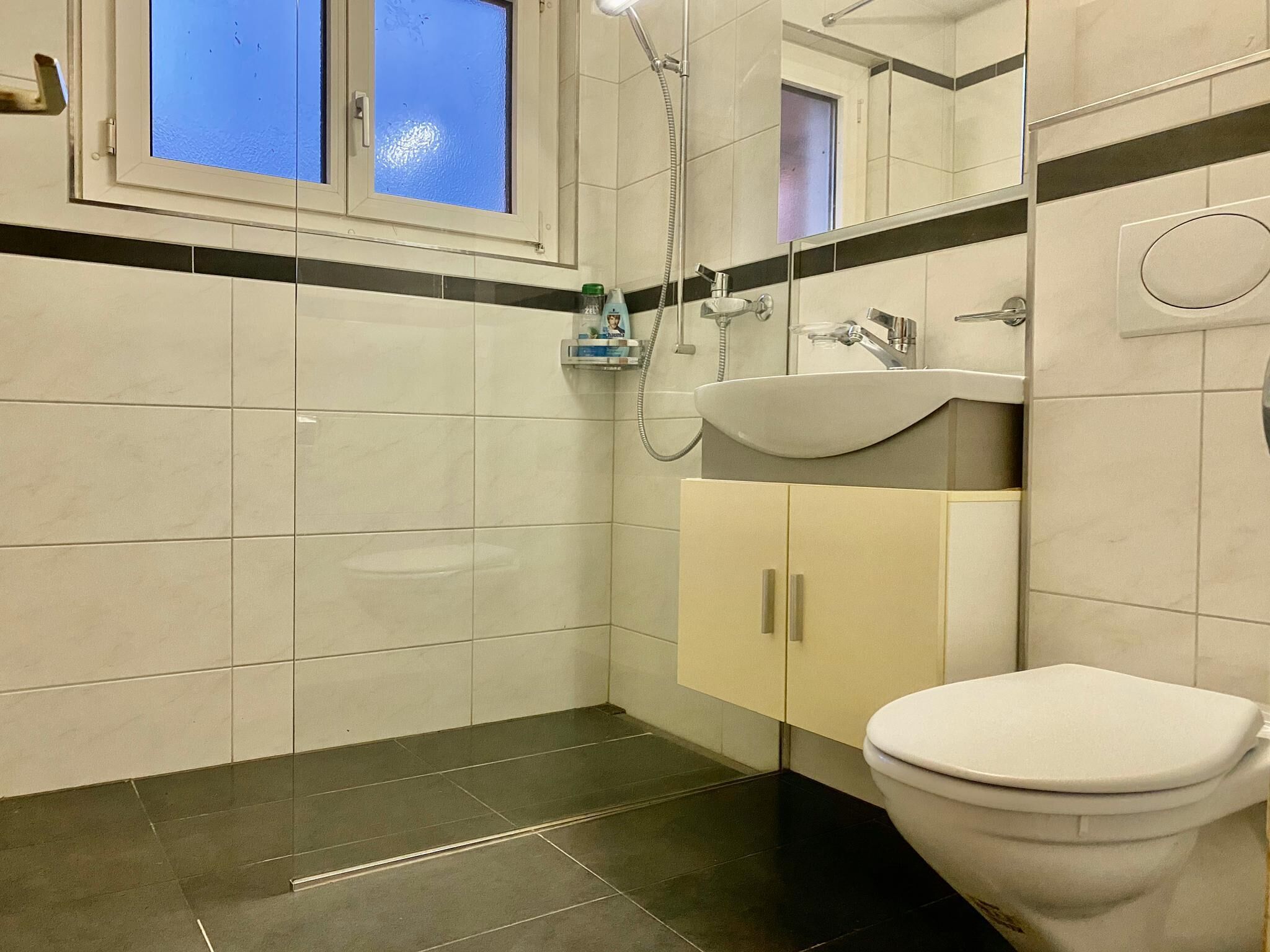 A bathroom with a white toilet, a sink, and a shower.
