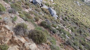 Eine zerklüftete Berglandschaft mit kargen Pflanzen und steinigen Flächen.