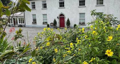 Cosey cabin the in beautiful peaceful setting in the Wicklow Mountains