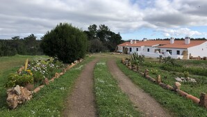 Une propriété située en zone rurale, accessible par un chemin de terre qui mène à un bâtiment blanc surmonté d’un toit recouvert de tuiles rouges.