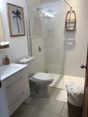 Regadera, secadora de cabello, toallas, jabón