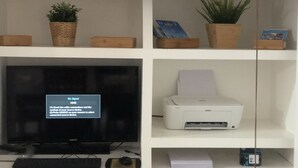 Una habitació amb televisió sobre un suport, una impressora sobre una prestatgeria i una planta a la paret.