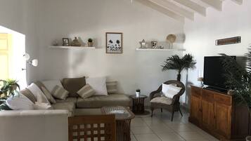 Una televisión, libros