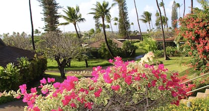 A GEM IN THE MIDDLE OF THE PACIFIC - OCEAN VIEW - KAANAPALI