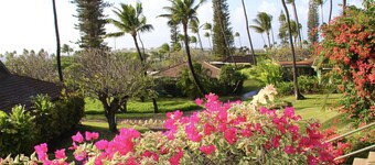A GEM IN THE MIDDLE OF THE PACIFIC - OCEAN VIEW - KAANAPALI