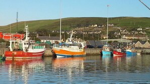 Un port où plusieurs bateaux sont amarrés, une colline avec des maisons en arrière-plan et un ciel dégagé.