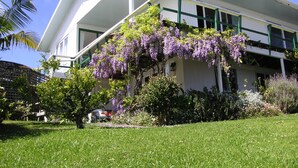 Un edificio blanco con detalles en verde y un gran árbol con flores moradas al frente.