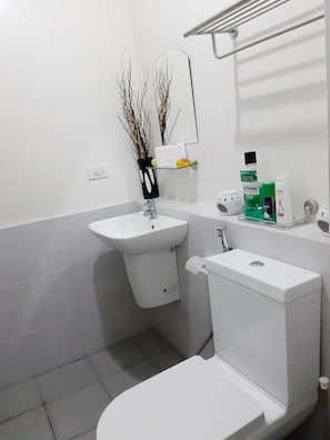 Bathroom features a sink, toilet, and mirror, with a shelf for toiletries.