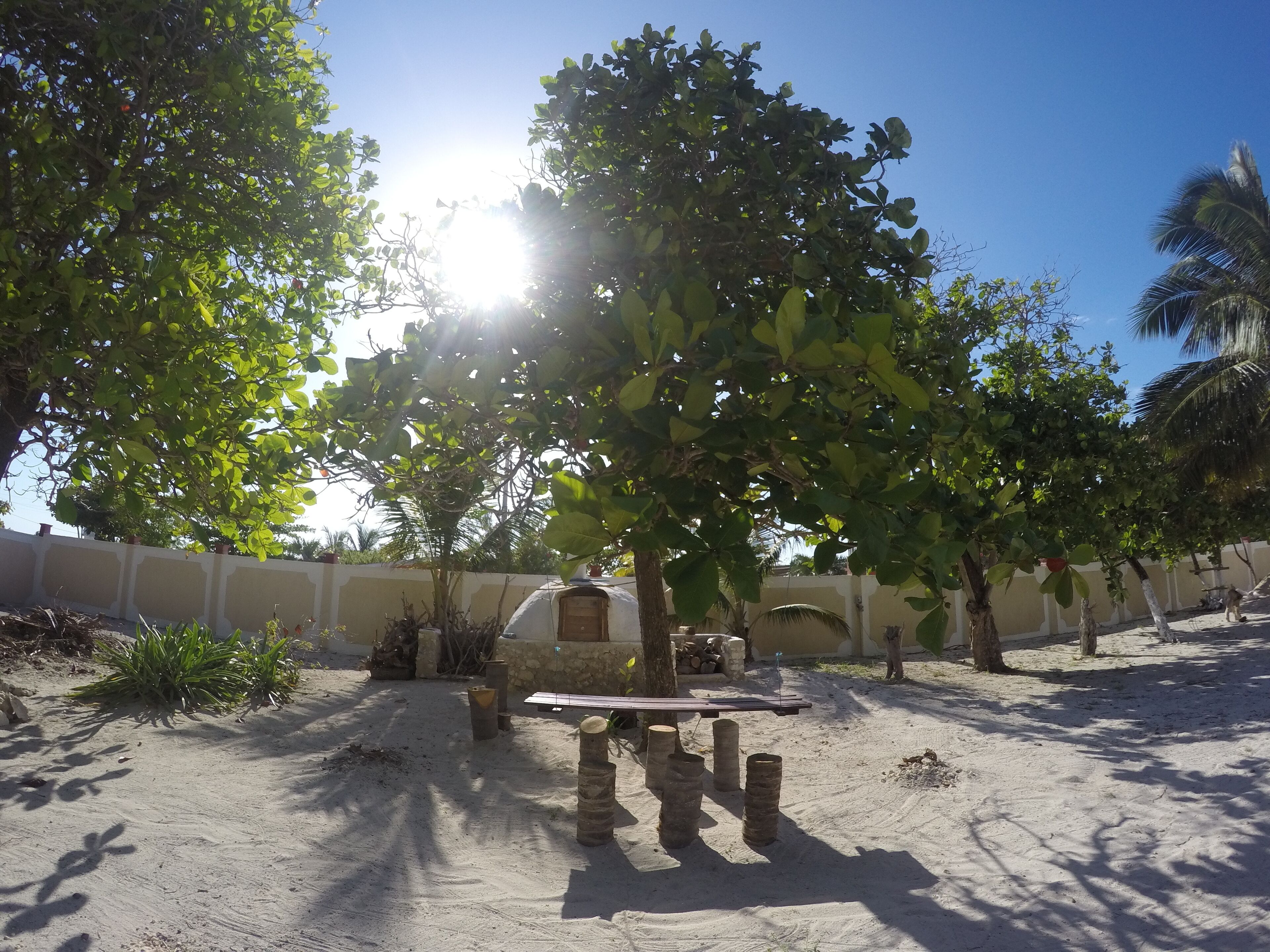 A sandy outdoor area with a small structure, possibly a kiosk or shed, surrounded by trees and a white wall.