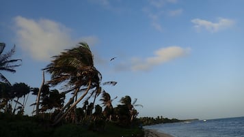 海灘、躺椅、沙灘巾