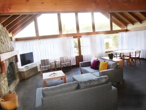 TV, fireplace, DVD player
