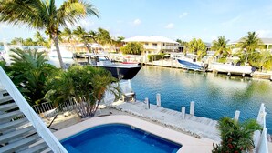 Piscina com vista para uma marina e barcos, rodeada por palmeiras e um muro branco.