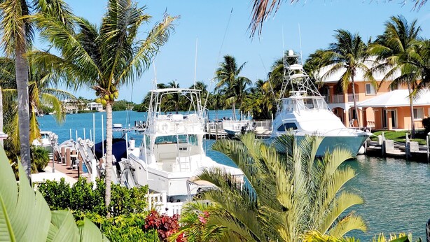Marina com vários barcos atracados, rodeada por palmeiras e um edifício com fachada branca.