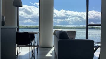 TV connectée, cheminée, livres