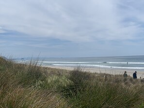 Beach - Rural property with views of Rangataua Bay (Tauranga)