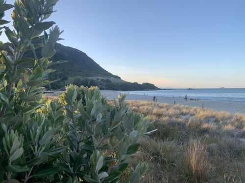 Rural property with views of Rangataua Bay