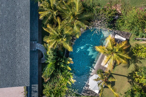 An aerial view of a swimming pool surrounded by palm trees and greenery, with a paved walkway and a covered seating area. - MASMARA Resort Canggu (Pererenan)
