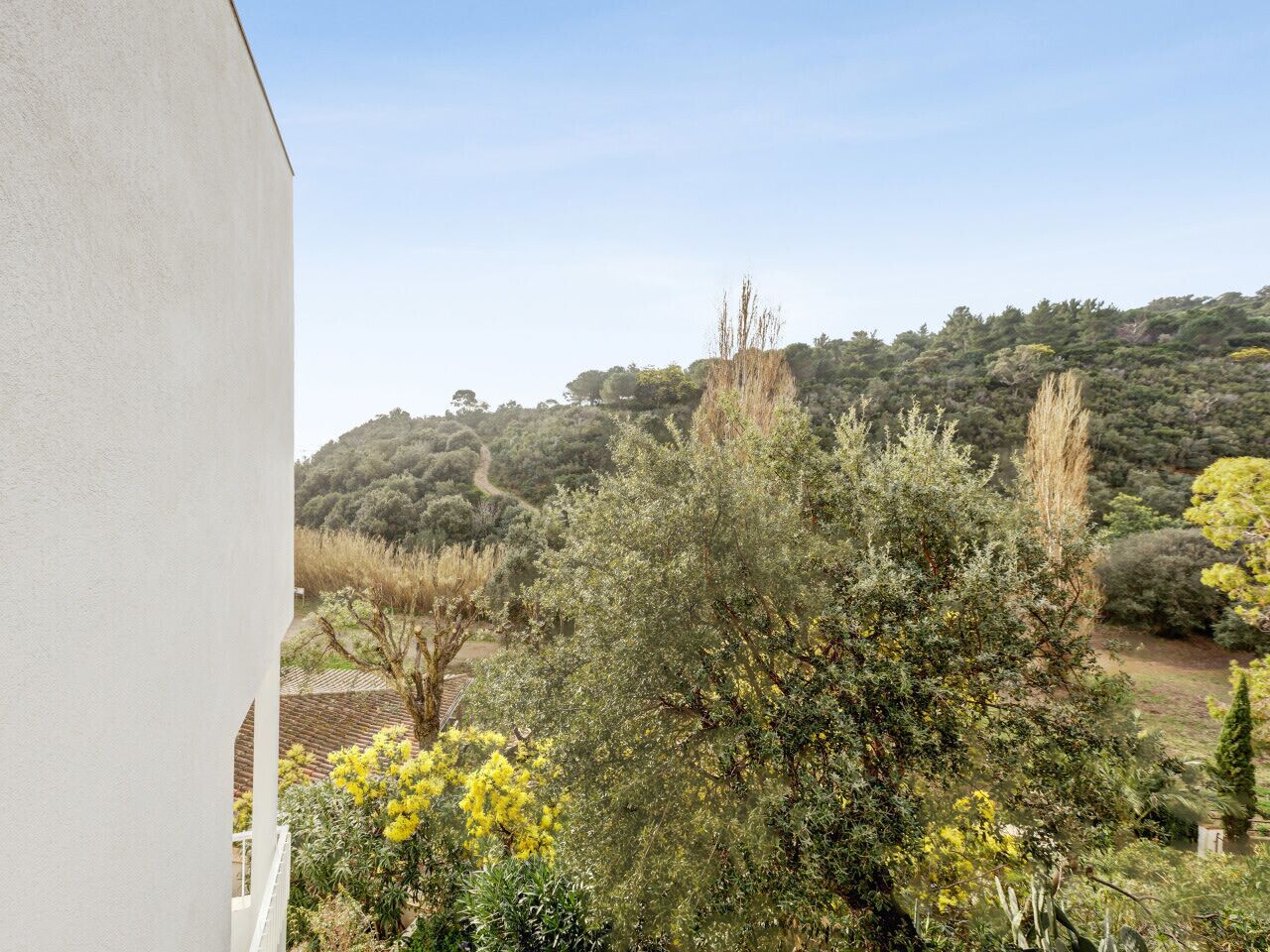 A view of a hillside with trees and a building in the foreground.