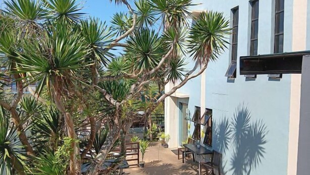 Un patio con palmeras, un edificio azul y mesas al aire libre.