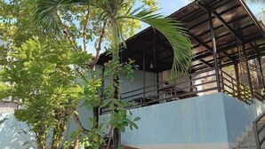 Un espacio al aire libre cubierto con una escalera que conduce a un edificio, rodeado de vegetación y un muro azul.
