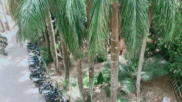 Standard Single Non AC Room | Garden view