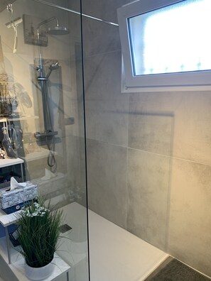Shower, hair dryer, towels