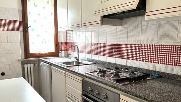 Cucina con piano cottura a gas, forno e lavello in acciaio inossidabile.