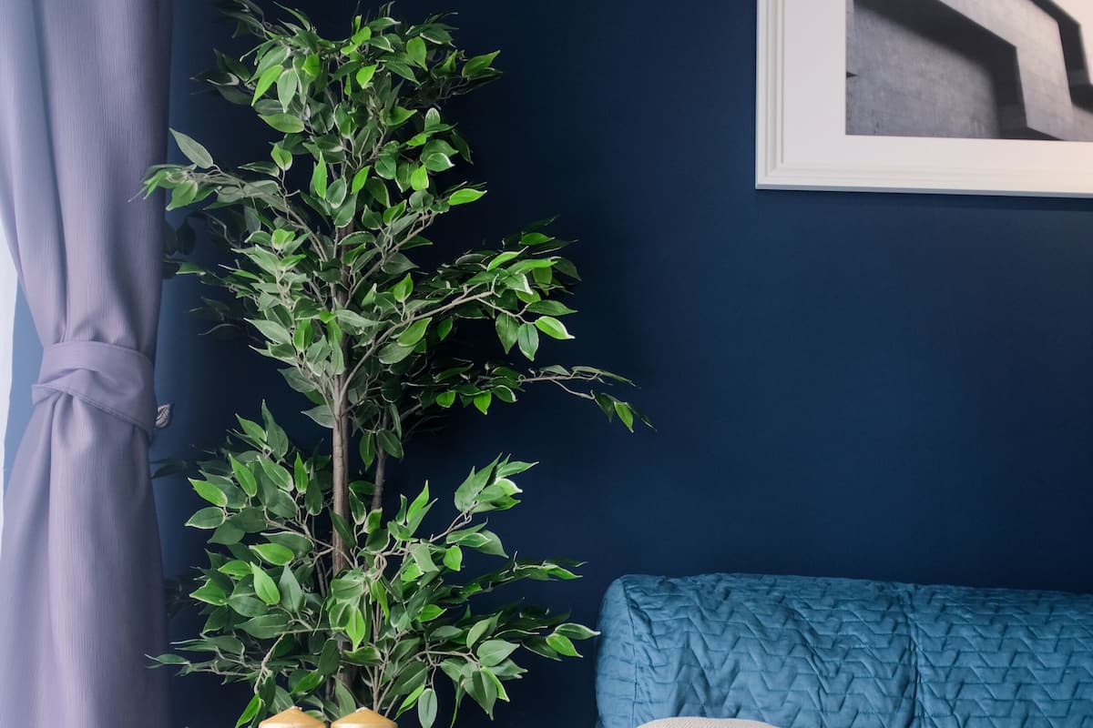 TV layar datar, Netflix, dan layanan streaming