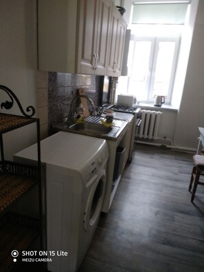 Oven, stovetop - An apartment with a terrace in the center (Odessa)
