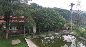 Vista desde la habitación