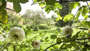 Jardin