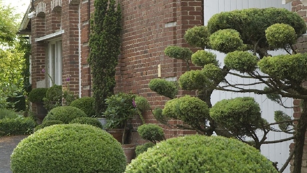 A brick building with a white door and a large arched window. There are potted topiary trees in front of the building. - Le Clos Xavianne (Ribécourt-la-Tour)