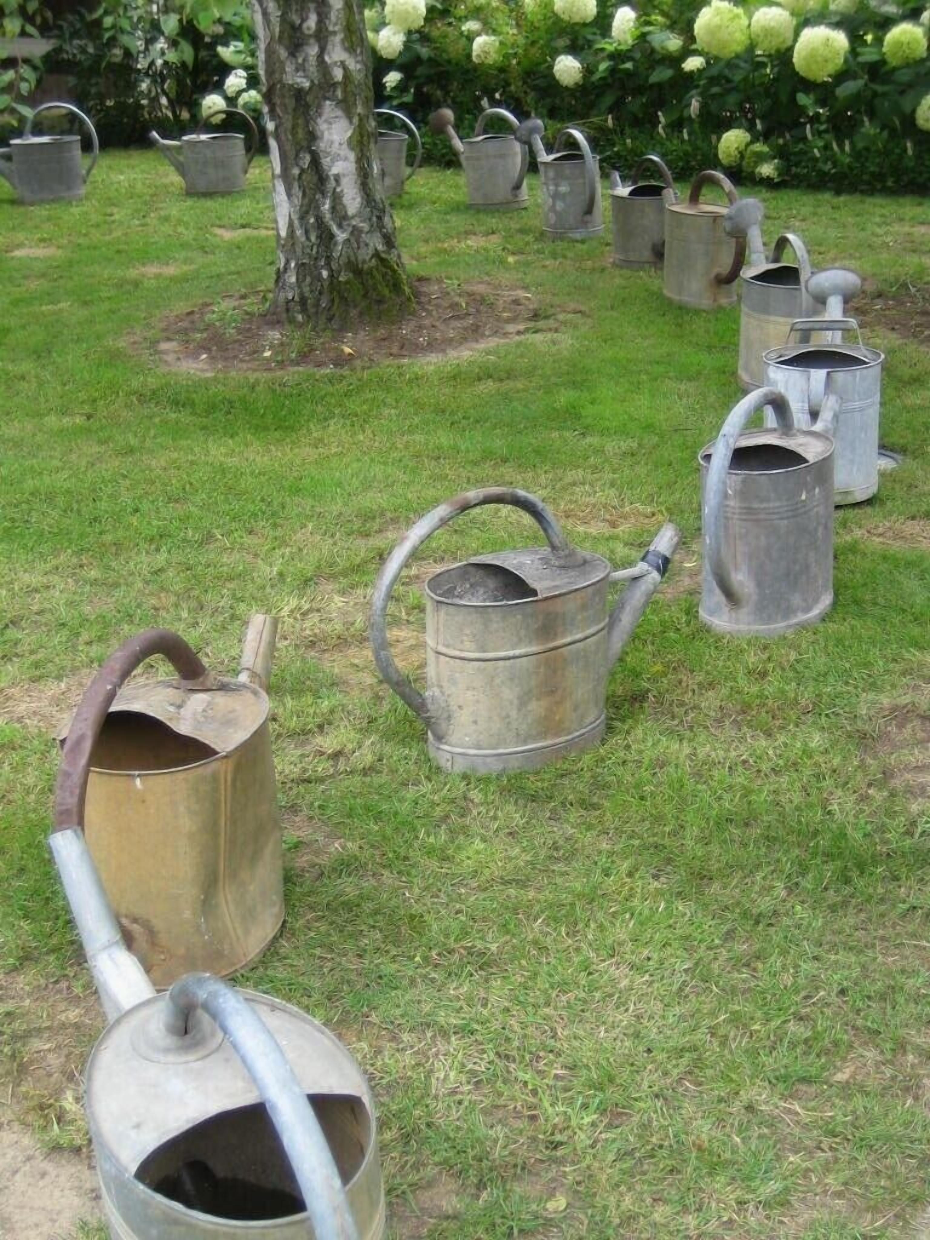 A garden with multiple metal watering cans arranged in a circle around a tree.