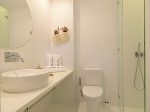 Douche, séchoir à cheveux, serviettes fournies