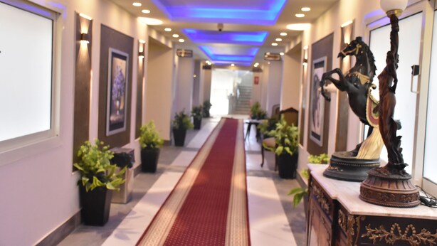 A hotel hallway with a red carpet, potted plants, framed pictures, and a statue on a pedestal. - Jewel Al Nasr Hotel & Apartments (Cairo)