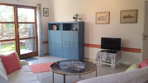 TV, fireplace, DVD player, books