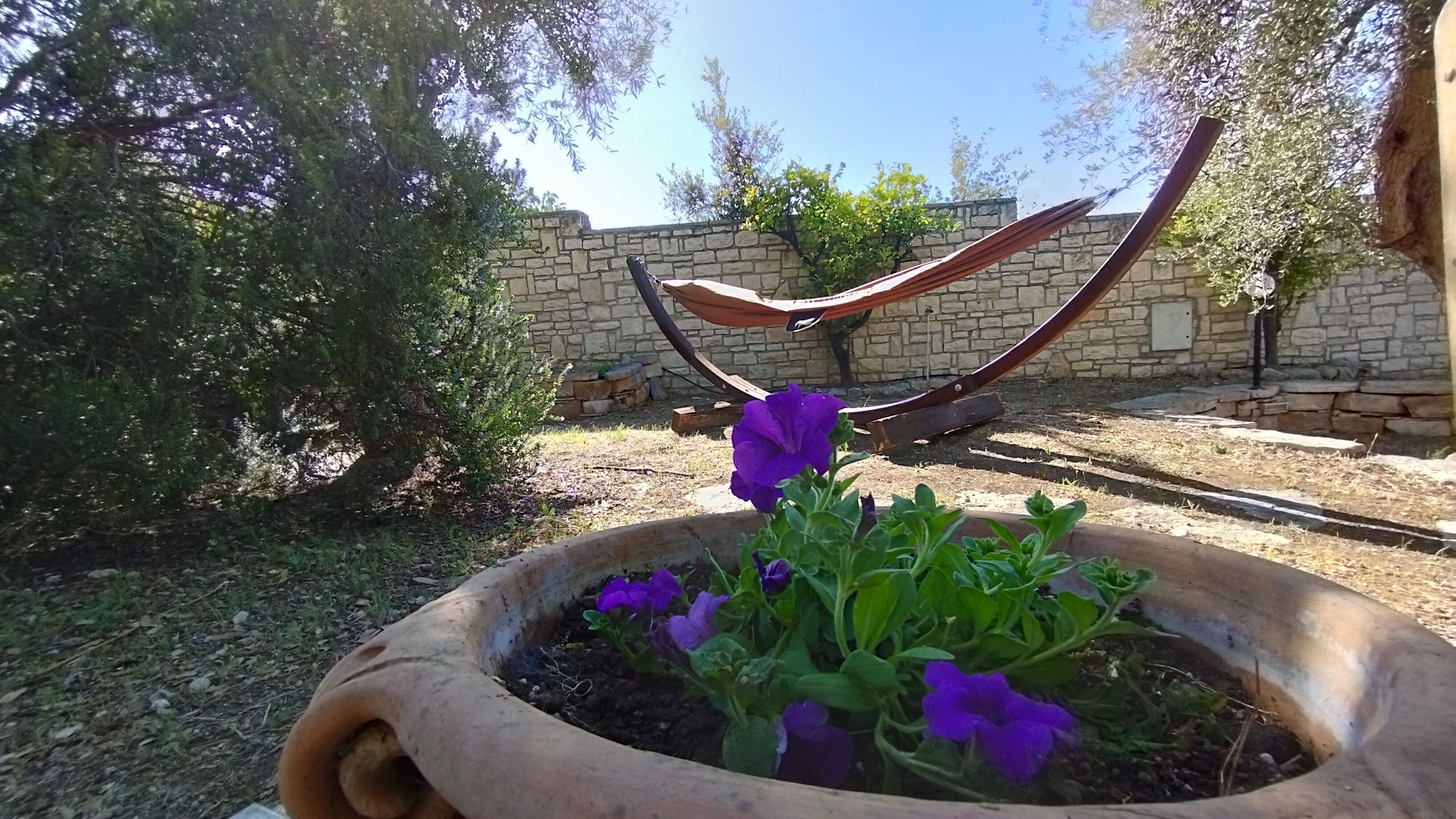 Overnattingsstedets uteområder