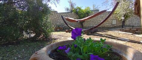 Àrea exterior de l'allotjament