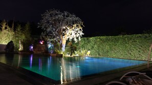 A swimming pool with a tree illuminated by lights, surrounded by a hedge and a stone wall.