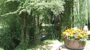 Um jardim com um salgueiro-chorão, um pequeno lago e uma planta de tagetes em vaso.