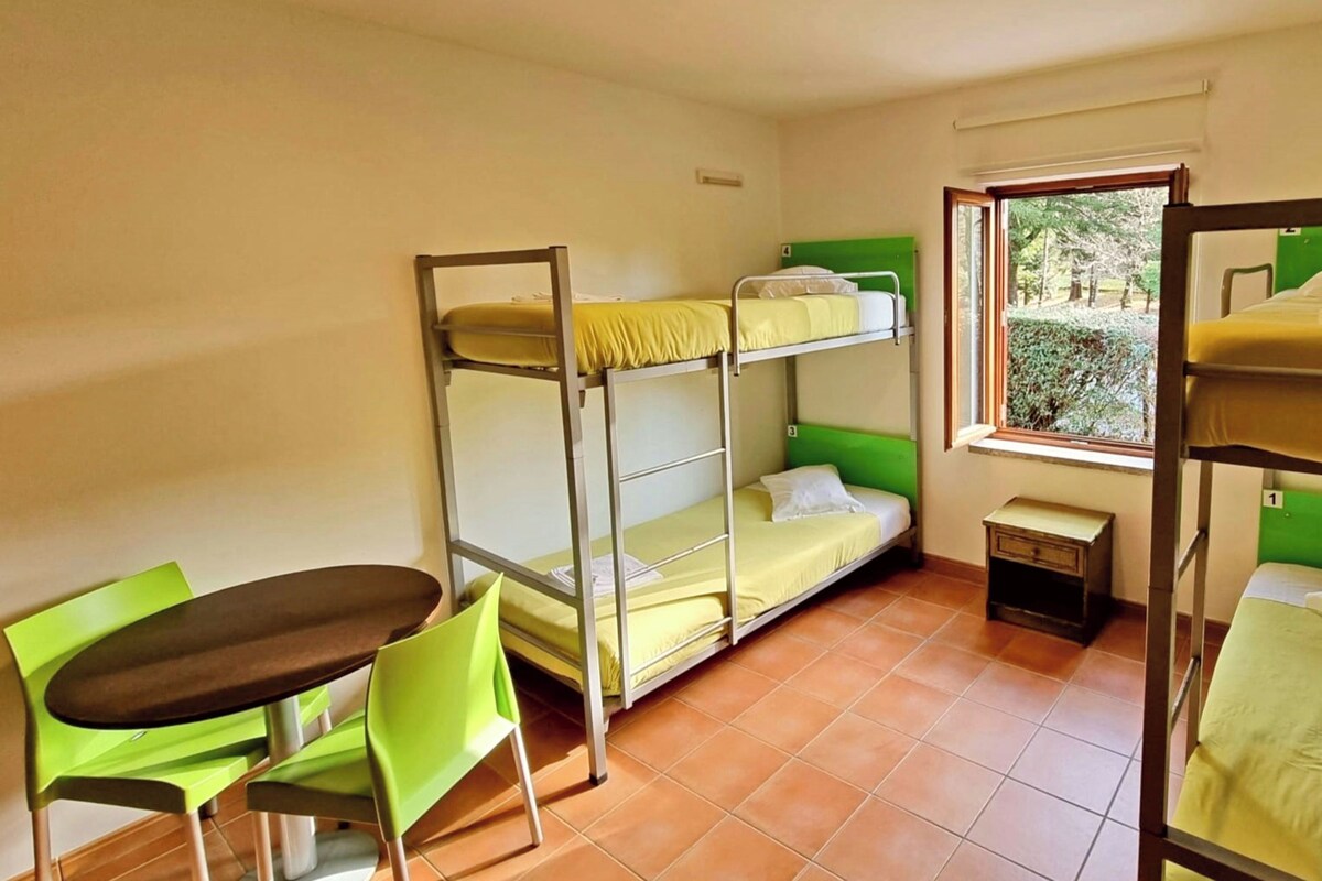 A dormitory room with bunk beds, a small table, and chairs.
