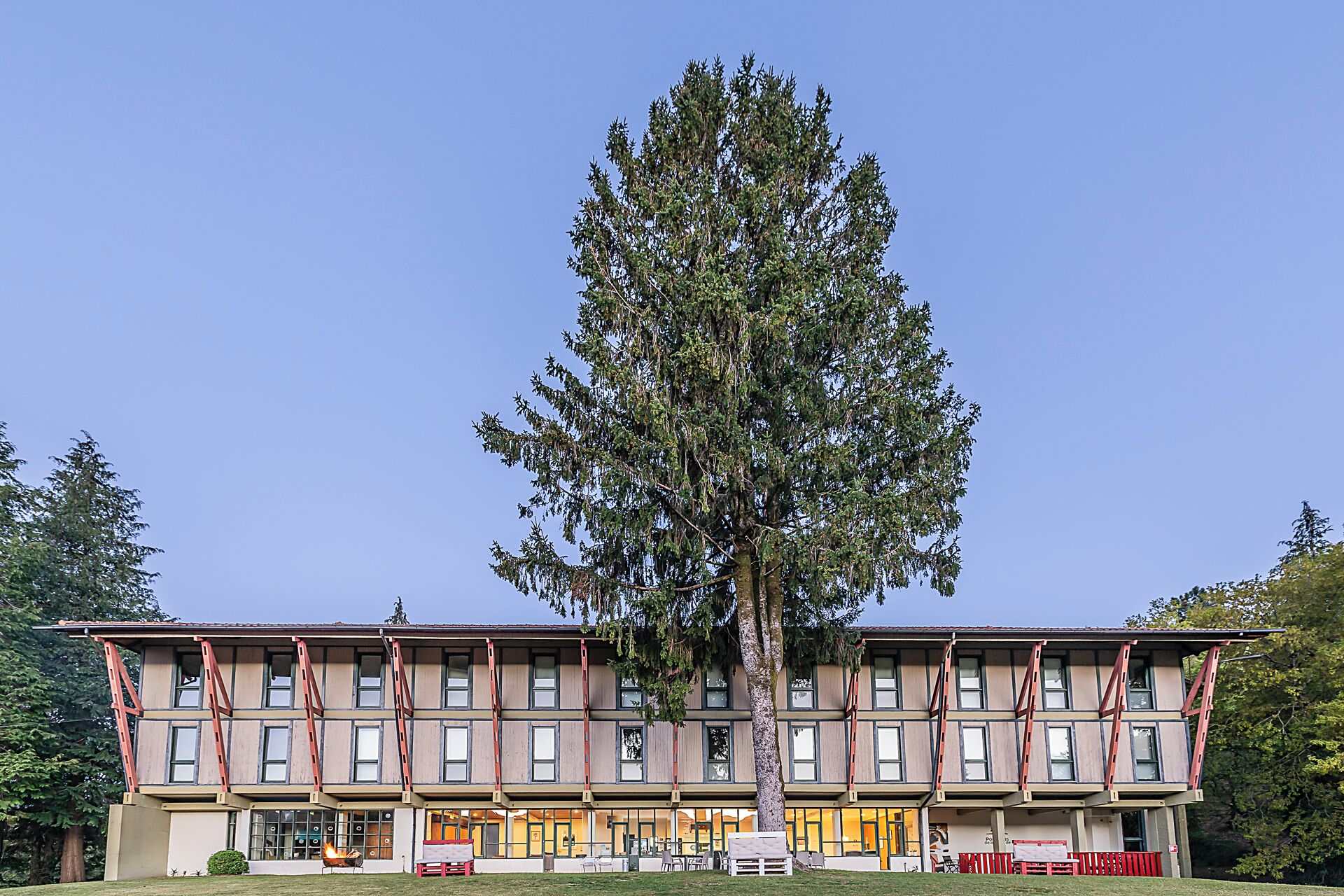 A building with a large tree in front, multiple windows, and a flat roof.