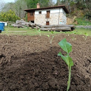 Property grounds - Village house CA 1595 AS recently renovated. Unique, quiet and natural environment. (Ribadesella)